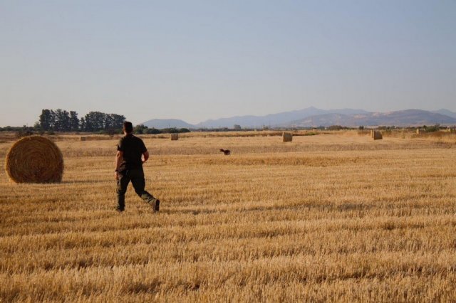 Αγωνες Α.Κ.Ι 18/6/2017